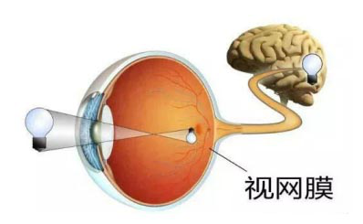 視網(wǎng)膜脫落怎么治療？
